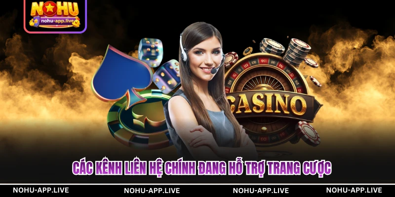Các kênh liên hệ chính đang hỗ trợ trang cược