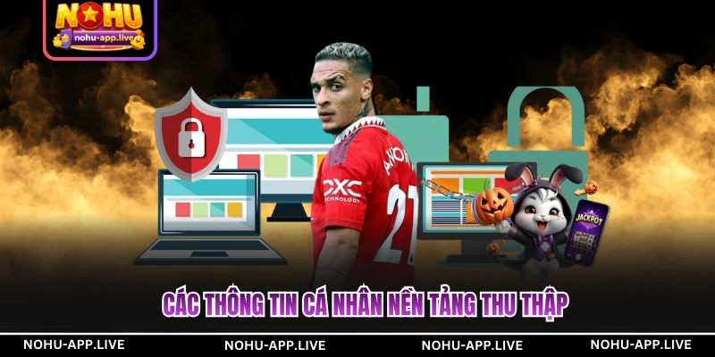 Các thông tin cá nhân nền tảng thu thập